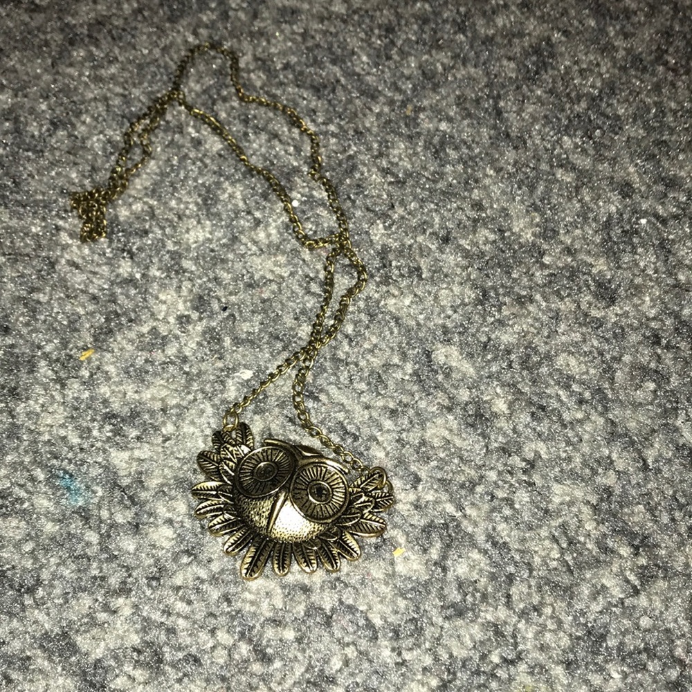 This is a owl necklace!!